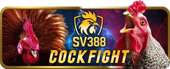 Đội ngũ hỗ trợ khách hàng chuyên nghiệp 24/7 của vg99 bet sẵn sàng giải đáp mọi thắc mắc