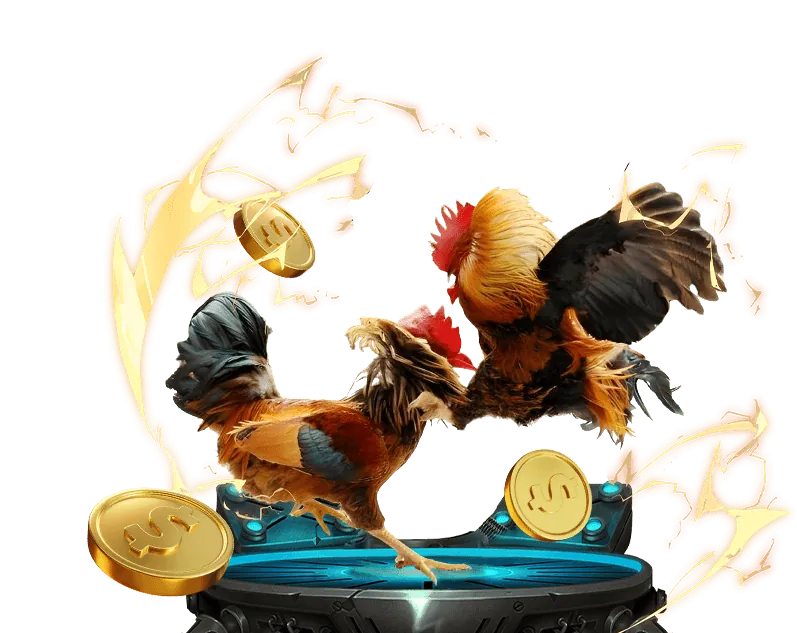 Hoàn trả hàng ngày tại VG99 Bet
